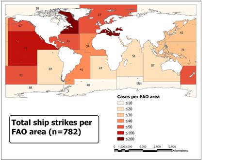 iwc ship strike map